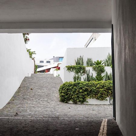 Sao Miguel Charming House By Lfc Apts Ponta Delgada Exteriör bild